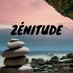 Zenitude 1