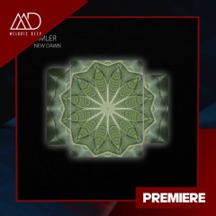 PREMIERE: TIMLER - Come Forward (Extended Mix) [Polyptych Noir]
