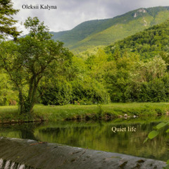 Quiet life