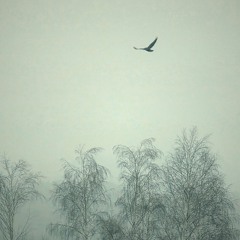 Dub Techno Session | 117