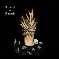 احتمالا وقتی - Slowed + Reverb