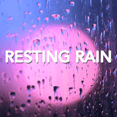 Sleep Rain: Raining Cats and Dogs