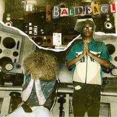 zipbby - baldeagl (scordo & santone)