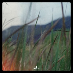 Memoir Music Discography