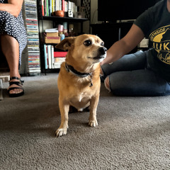 In My Head w Dan (final demo)