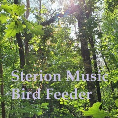 Bird Feeder