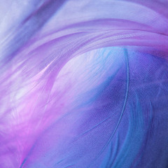 Air Series - When the feelings run deep