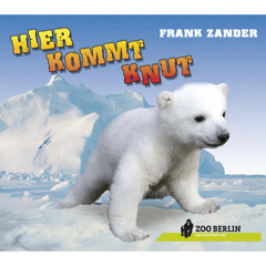 Hier kommt Knut (Radio Version)