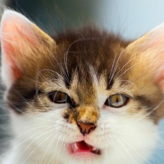 Kate Linn & Monoir - Durum (slowed Down)