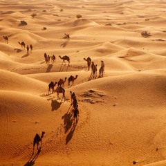 ARABIAN TWILIGHT DESERT