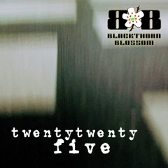 twentytwentyfive