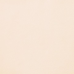 RAPSTR — Official Singles