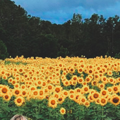 slugs [prod Lovethatmoney]