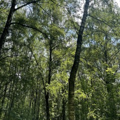 KOURS - AWERTENZE GENERALLI // FC