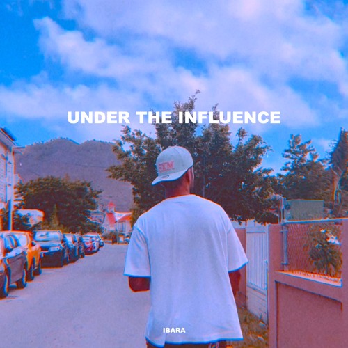Chris Brown - Under The Influence ( IBARA REMIX)
