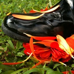 Stomping Through The Tulips