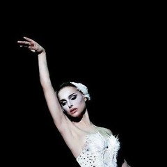 black swan