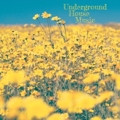 13Ohms - Beautiful Souls