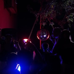 DAVIDU House Set #1
