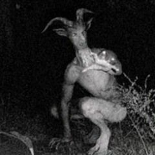 Scrill White - You Cap