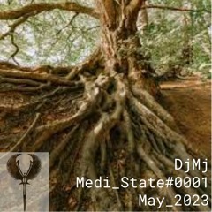 Medi_State#0001 May+2023