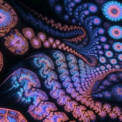 Half Steppers- Isolate & Looped 8