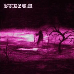 Burzum War (Synthwave cover)