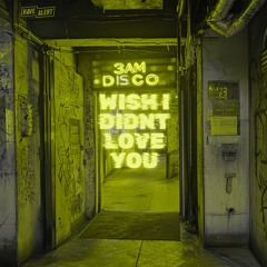 Premiere: 3amdisco - Wish I Didn't Love You [Radio Edit]