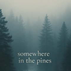 Somewhere in the Pines