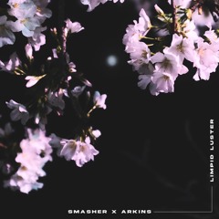 Smasher & Arkins - Limpid Luster (Original Mix)
