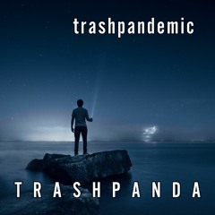 Trash Panda / TP048 / Trashpandemic / 2020-12-22