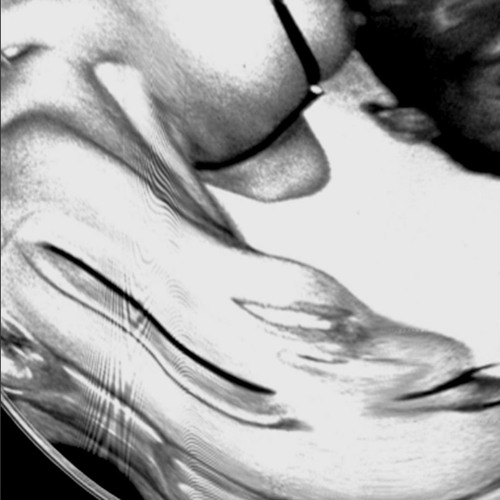 don't disturb (fatal entertainment ltd)