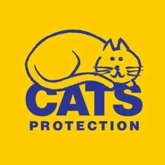 Welfare Of Pets In Schools - Cats Protection