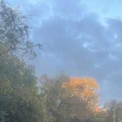 friday night - costa rica