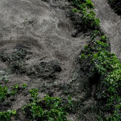 夏至 海洋 SIA JHIH HAI YANG