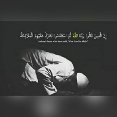 إن الذين قالوا ربنا الله ثم استقاموا | سورة فصلت [٣٠-٤٦] | الدكتور محمد رفعت | تلاوات المساجد