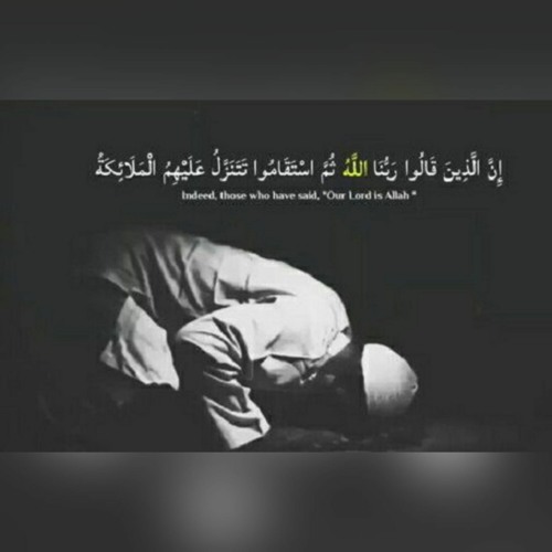 إن الذين قالوا ربنا الله ثم استقاموا | سورة فصلت [٣٠-٤٦] | الدكتور محمد رفعت | تلاوات المساجد