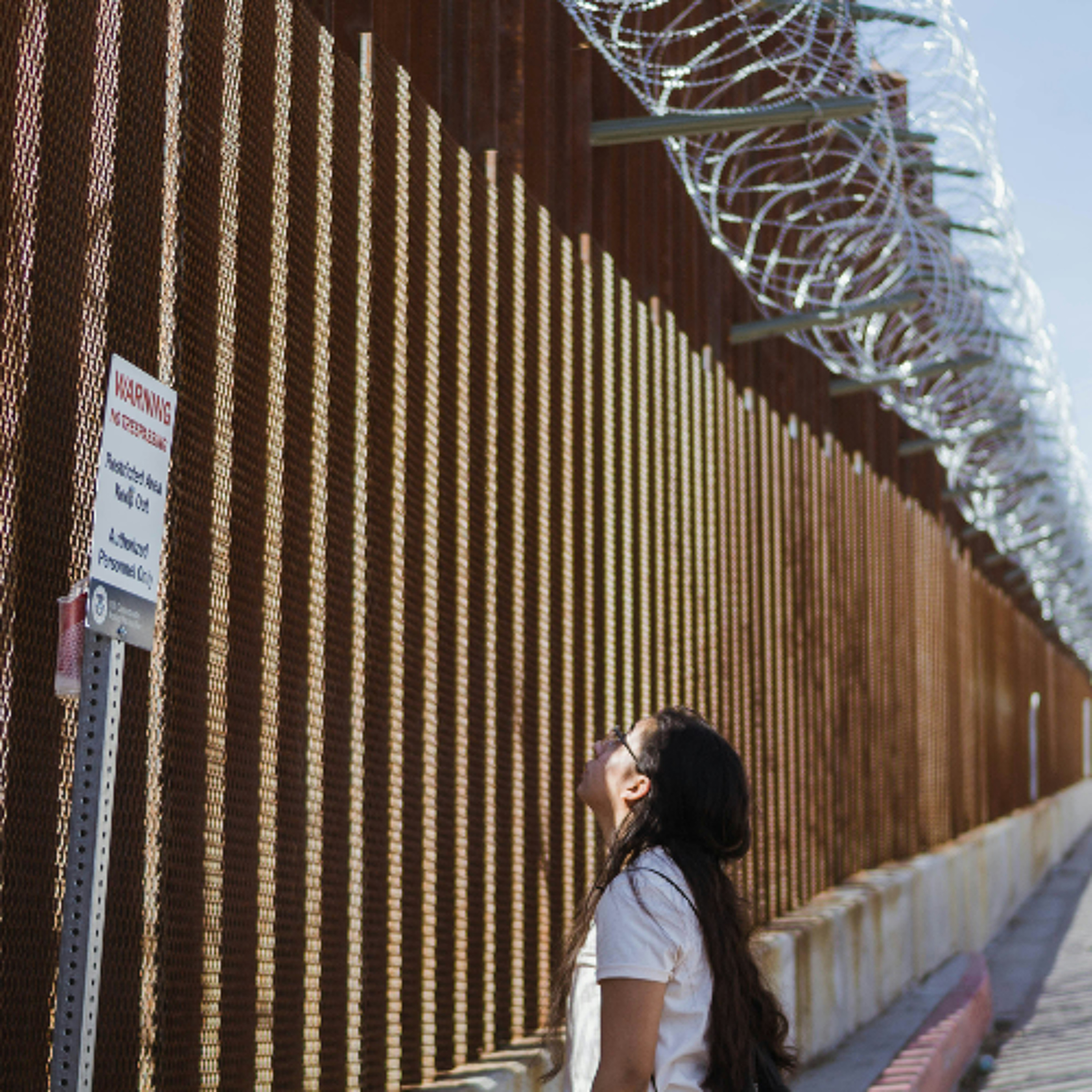 Human and Financial Costs of Mass Deportations