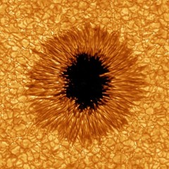 The Sun Is Killing Me