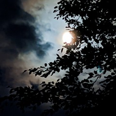 Nightgrawler