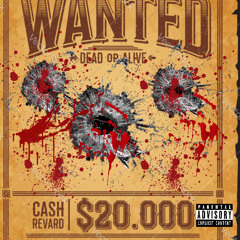 W.A.N.T.E.D (with TDalex & C$T4R)