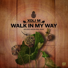 Walk in My Way (Original Mix)