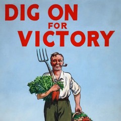 "Year of digging in review" - Timeless 12-17-25