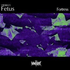 Vsd0021 - Fetus
