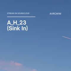 A_H_23 (Sink In) - Demo 1