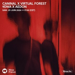 Caninal x Virtual Forest : 9dwa b2b Aedon - 29 Juin 2024