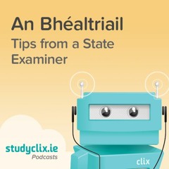Tips from a State Examiner on The Béaltriail