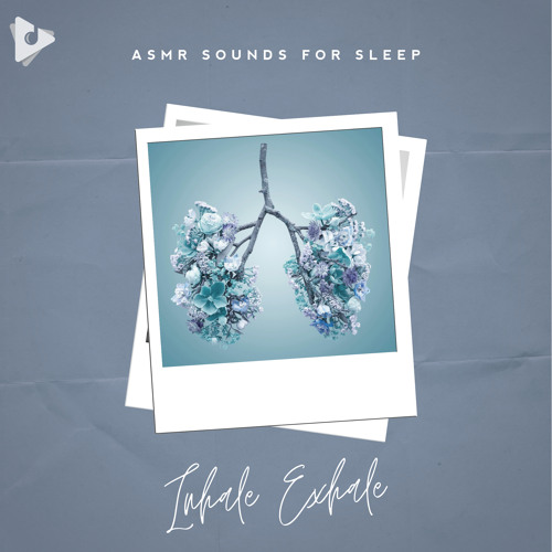 Stream ASMR Sounds for Sleep | Listen to Inhale Exhale playlist online ...