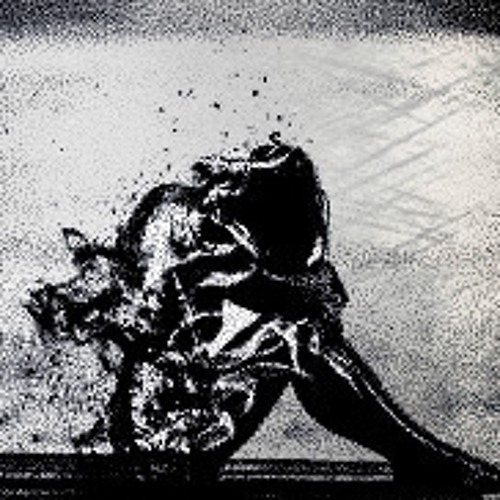 Fading - LectrO cOd_E
