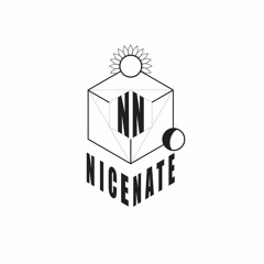 Nice Nate - Spies